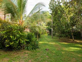 Jungle side house - Hammock on the balcony